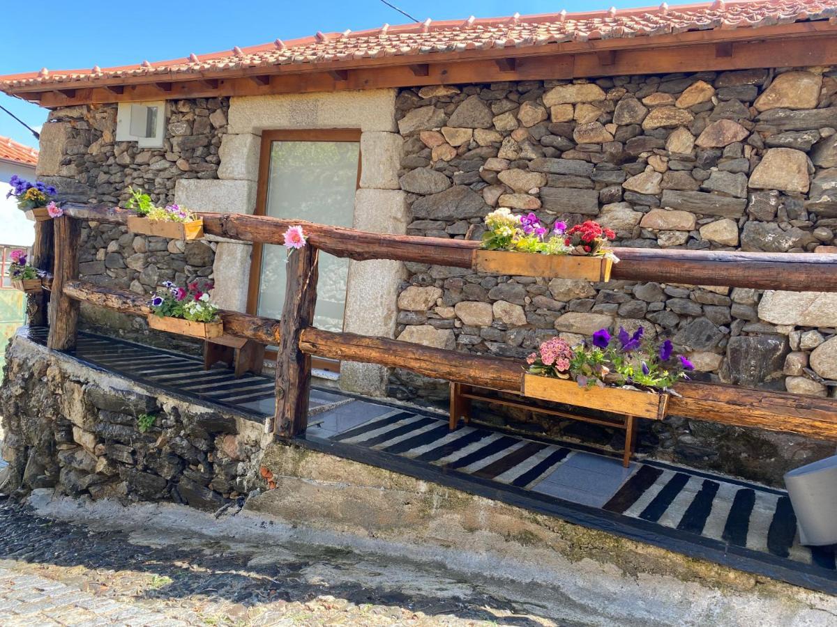 Casa Das Flores Ламего Екстериор снимка